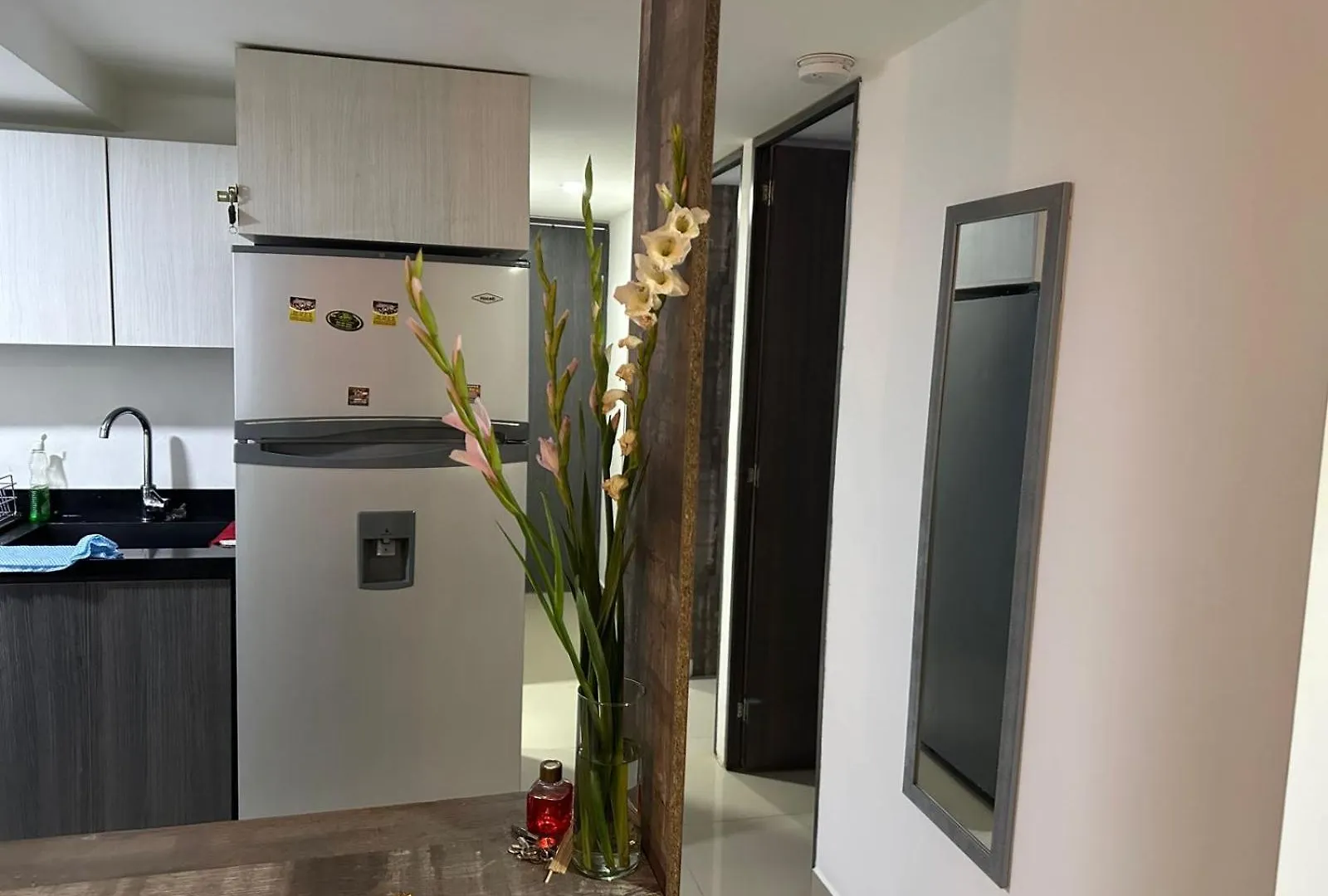 Apartamento Medellin Con Jacuzzi Privado Colombie
